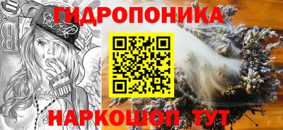 PSILOCYBIN Будённовск